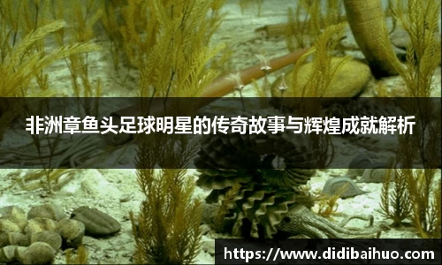 非洲章鱼头足球明星的传奇故事与辉煌成就解析
