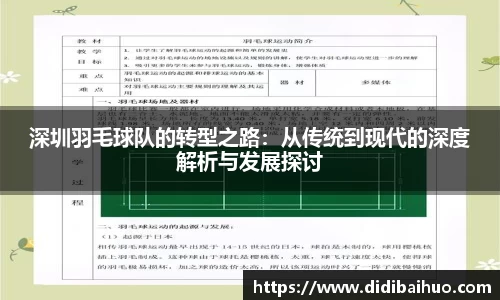 深圳羽毛球队的转型之路：从传统到现代的深度解析与发展探讨